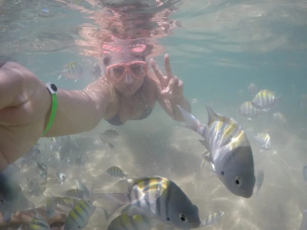 Peixes em PE